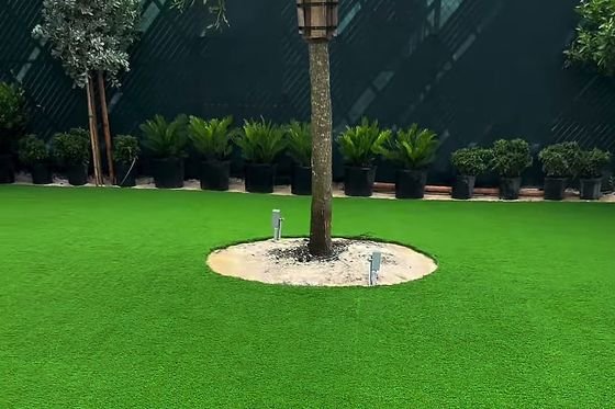 Zona verde de grama artificial en un local, con un árbol en su alcorque y plantas en maceta al fondo.